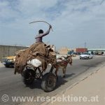 Ein Junge auf einem Karren schlägt einen Esel in Mauretanien